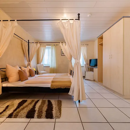 Moselhotel Ludwigs Hotel 3*