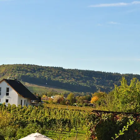 Hotel Moselhotel Ludwigs 3*