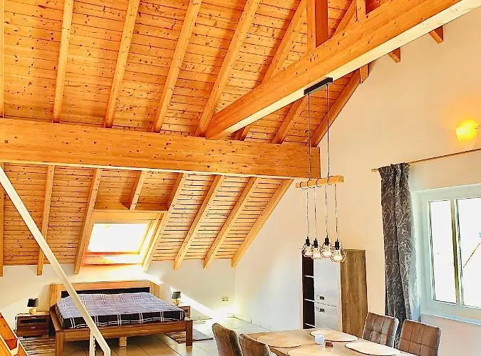 酒店 路易摩泽尔酒店 3*