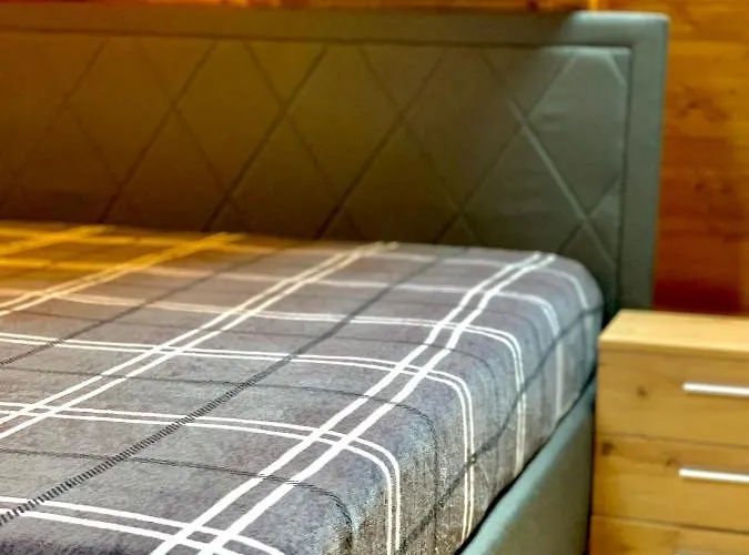 酒店 路易摩泽尔酒店