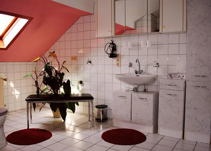 路易摩泽尔酒店 3*