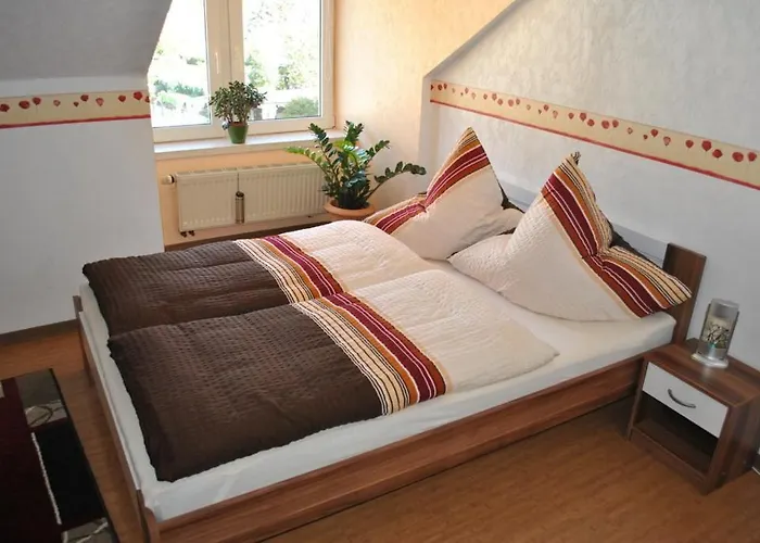 路易摩泽尔酒店 酒店 3*