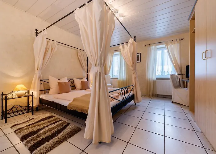 路易摩泽尔酒店 3*