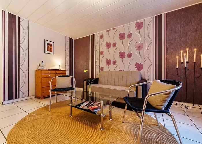 路易摩泽尔酒店 3*