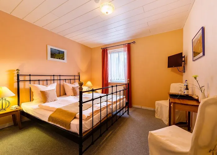 酒店 路易摩泽尔酒店