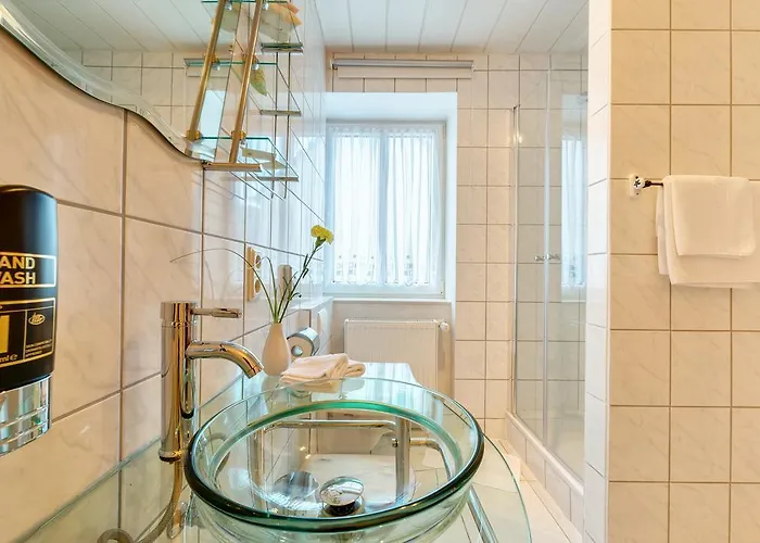 路易摩泽尔酒店 酒店 3*