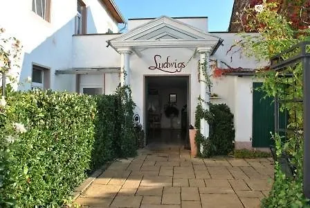 路易摩泽尔酒店 3*