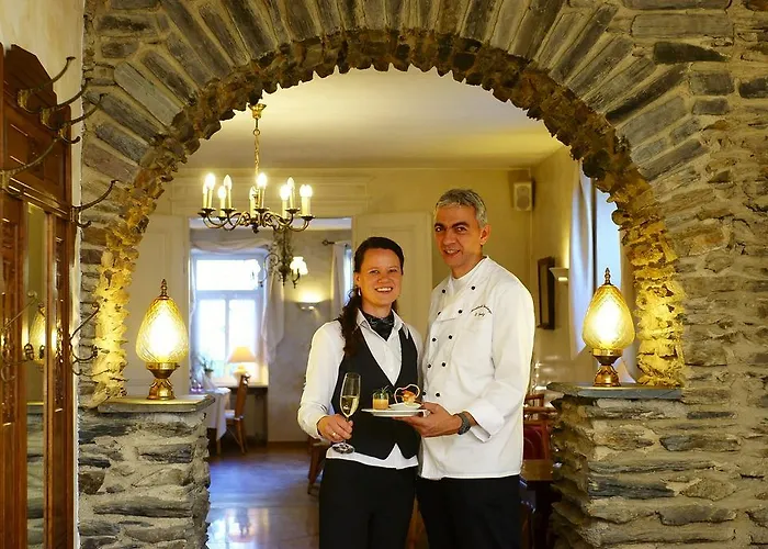 酒店 路易摩泽尔酒店 3*