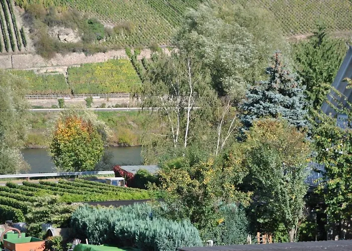 路易摩泽尔酒店