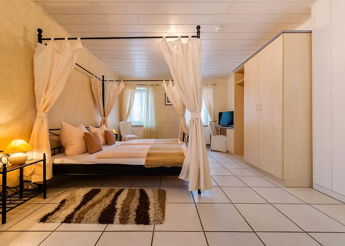 路易摩泽尔酒店 酒店 3*