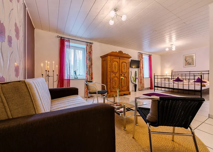 路易摩泽尔酒店 3*