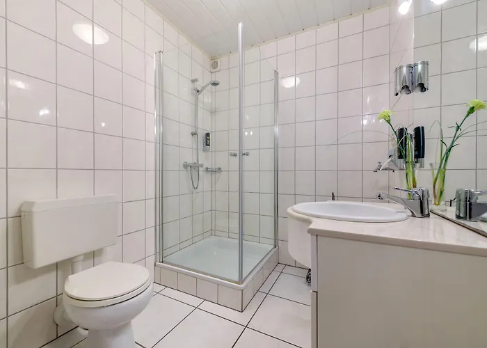 酒店 路易摩泽尔酒店 3*