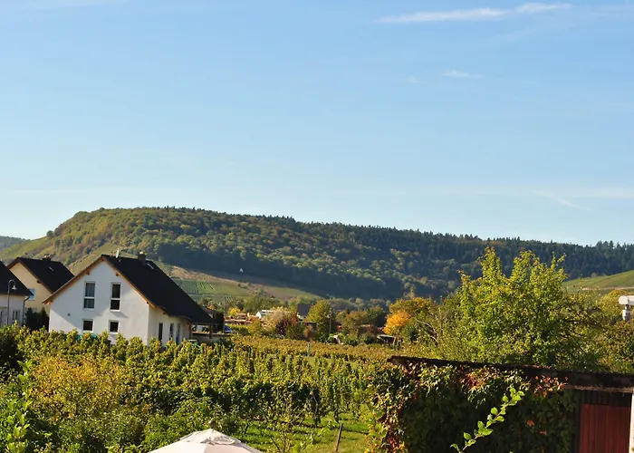 酒店 路易摩泽尔酒店 3*