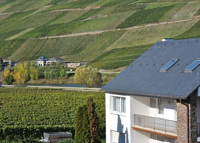 路易摩泽尔酒店 Köwerich