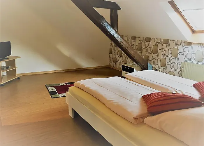 路易摩泽尔酒店 酒店 3*